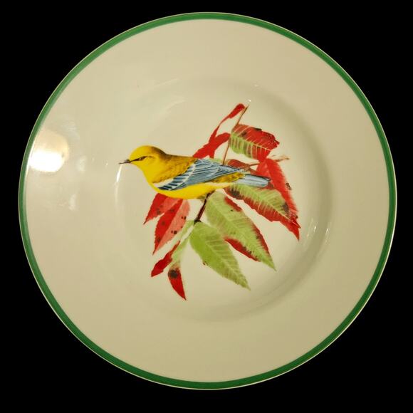 National Wildlife Federation Bird Bowls Set of 4 – 8" Soup/Cereal Songbird Green - Picture 5 of 8